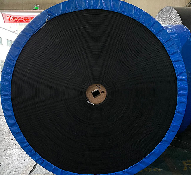 Nylon Conveyor Belt